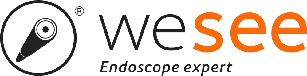 WeSee Logo